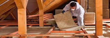 Professional Insulation Services in Columbus, TX